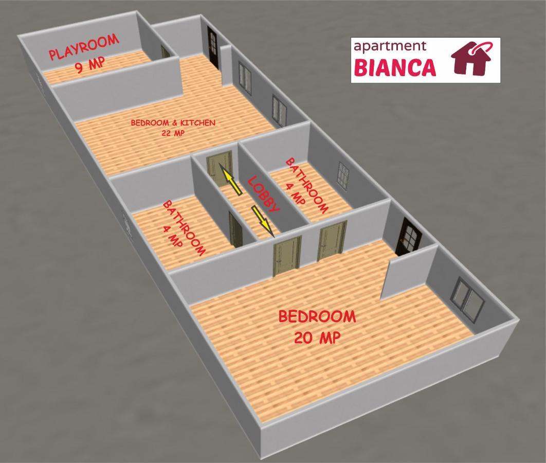 Apartment Bianca Braşov Extérieur photo