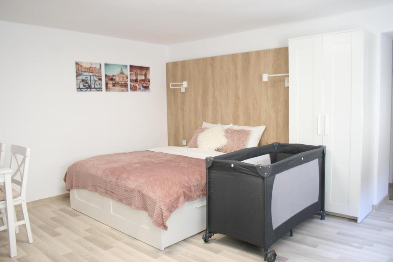 Apartment Bianca Braşov Extérieur photo
