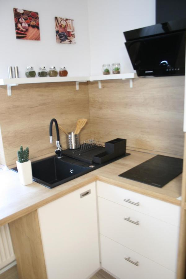 Apartment Bianca Braşov Extérieur photo