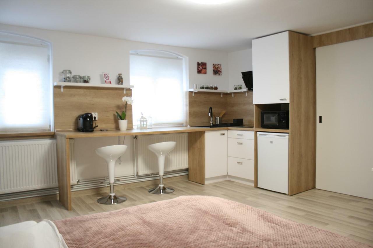 Apartment Bianca Braşov Extérieur photo